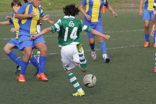 开云体育平台APP-奥地利乒乓球队完胜德国乒乓球队，樊振东打破历史纪录